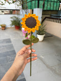 Sunflower stick